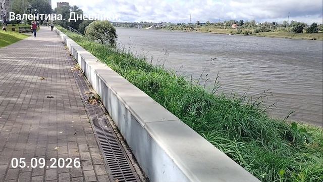 природа. огород.
