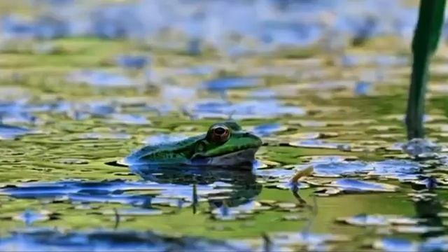 О чем говорит ваш ДЕНЕЖНЫЙ ПОТОК