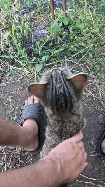 КОТТ