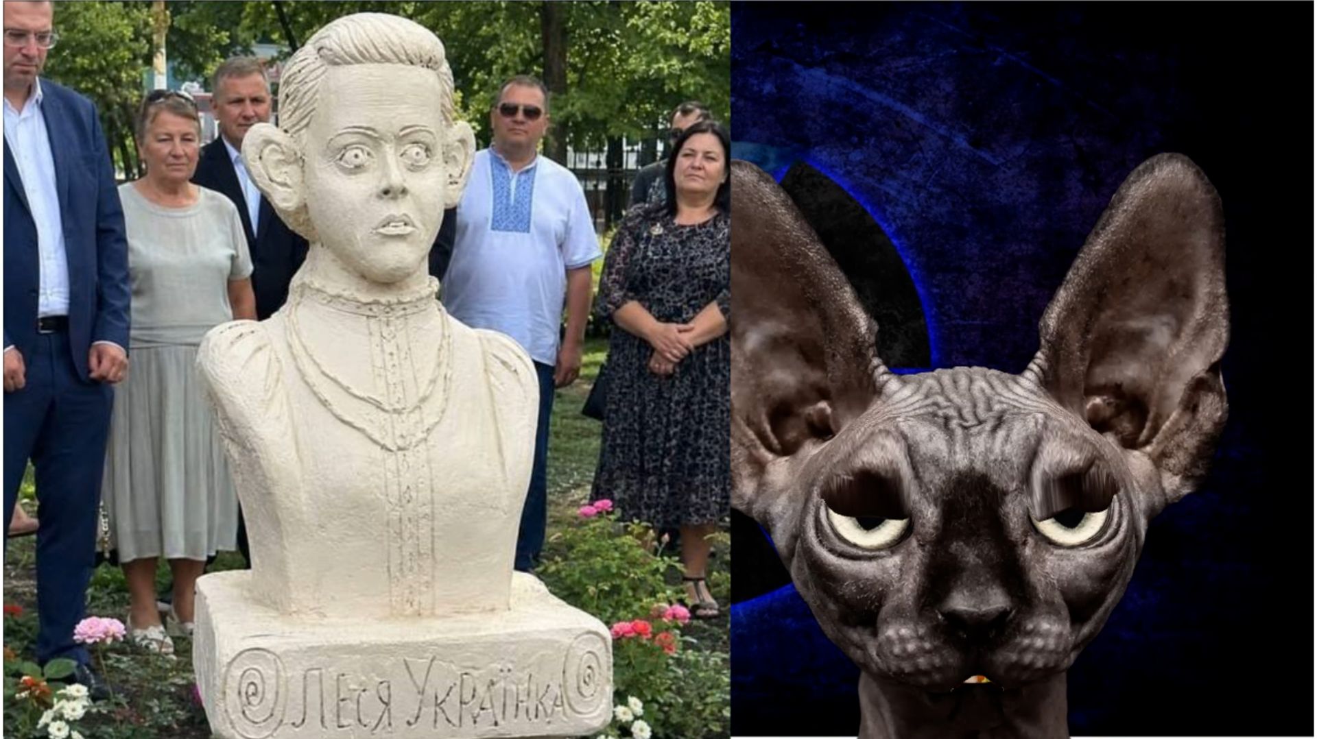 ⁣Что там у них опять?! Неразбериха... / Кот Костян