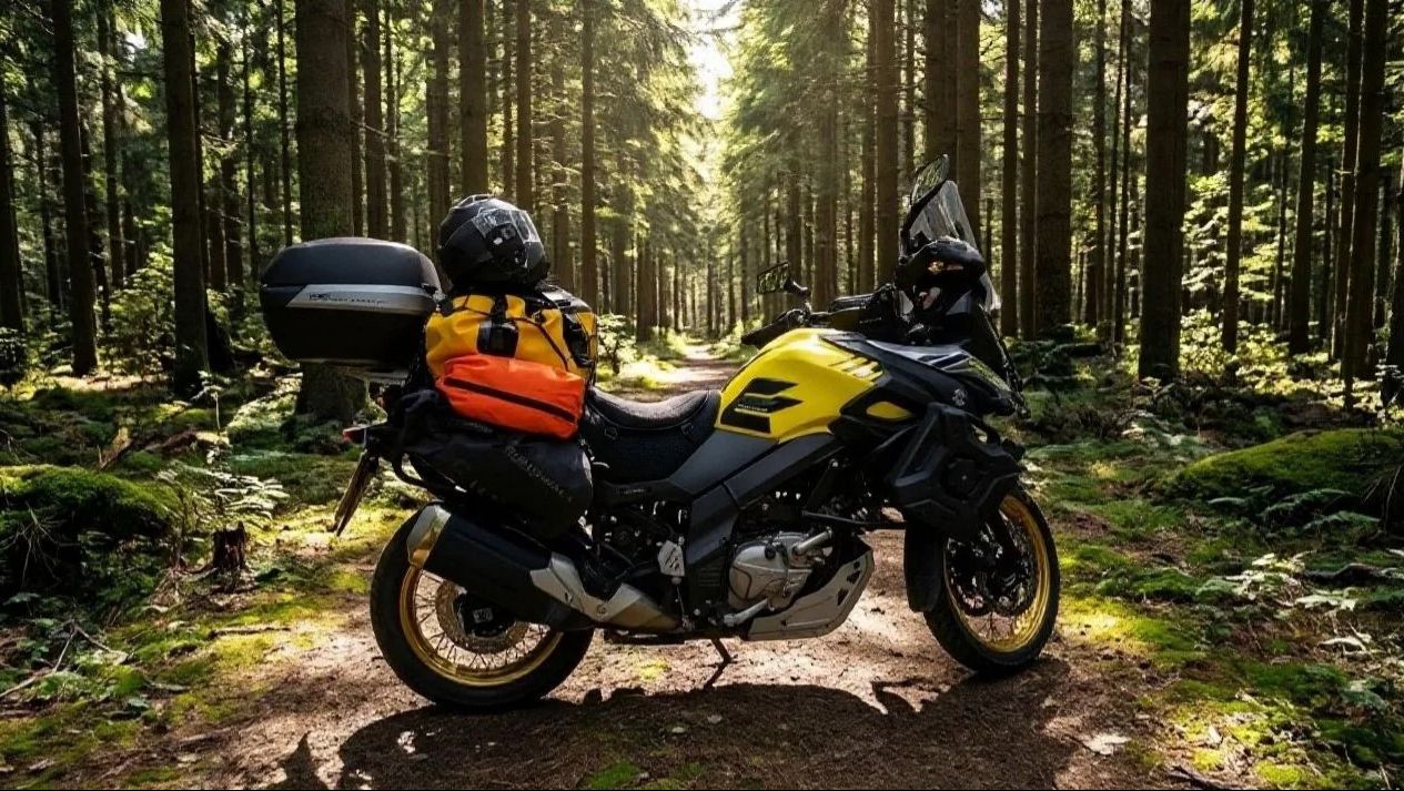 ТУРИСТ СУЗУКИ 650