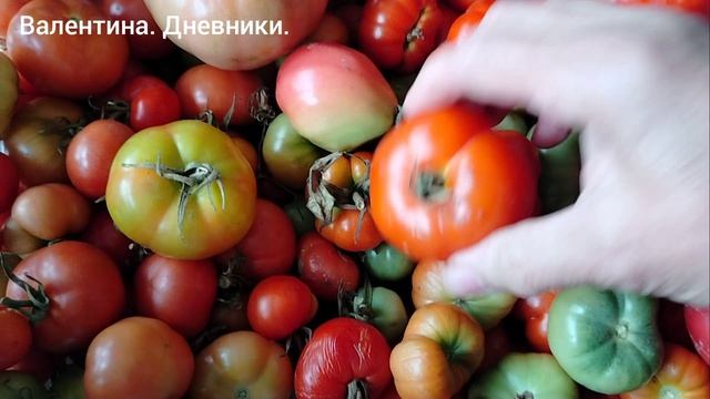 Кулинарим Кашеварим. Супы борщи. пироги.