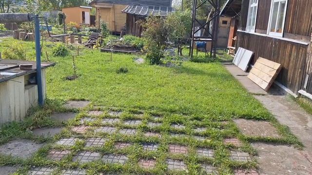 Лупоглазые в пруду и на участке. Фламинго из Фикспрайса и электрики со старой лестницей