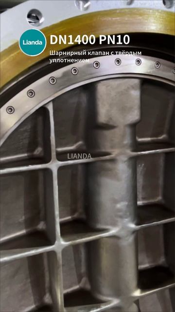 DN1400 PN10 Жесткозапорный дисковый клапан-LIANDA