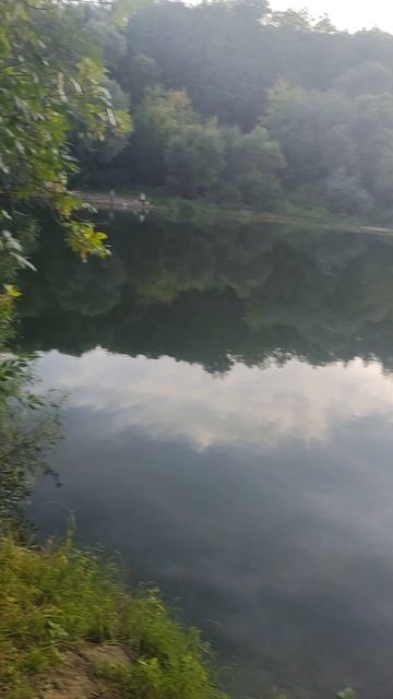 Брянские лесочки