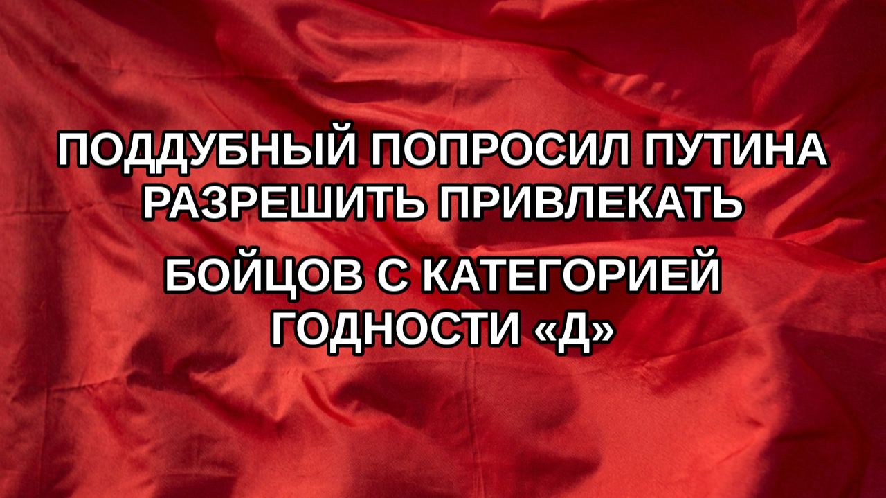 Поддубный попросил Путина разрешить привлекать бойцов с категорией годности «Д»