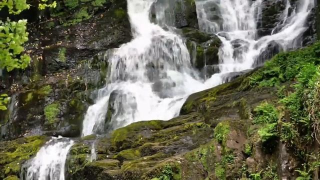 Meditation & Relaxation Music With Sitar