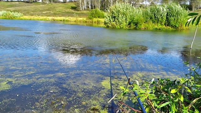 Рыбалка