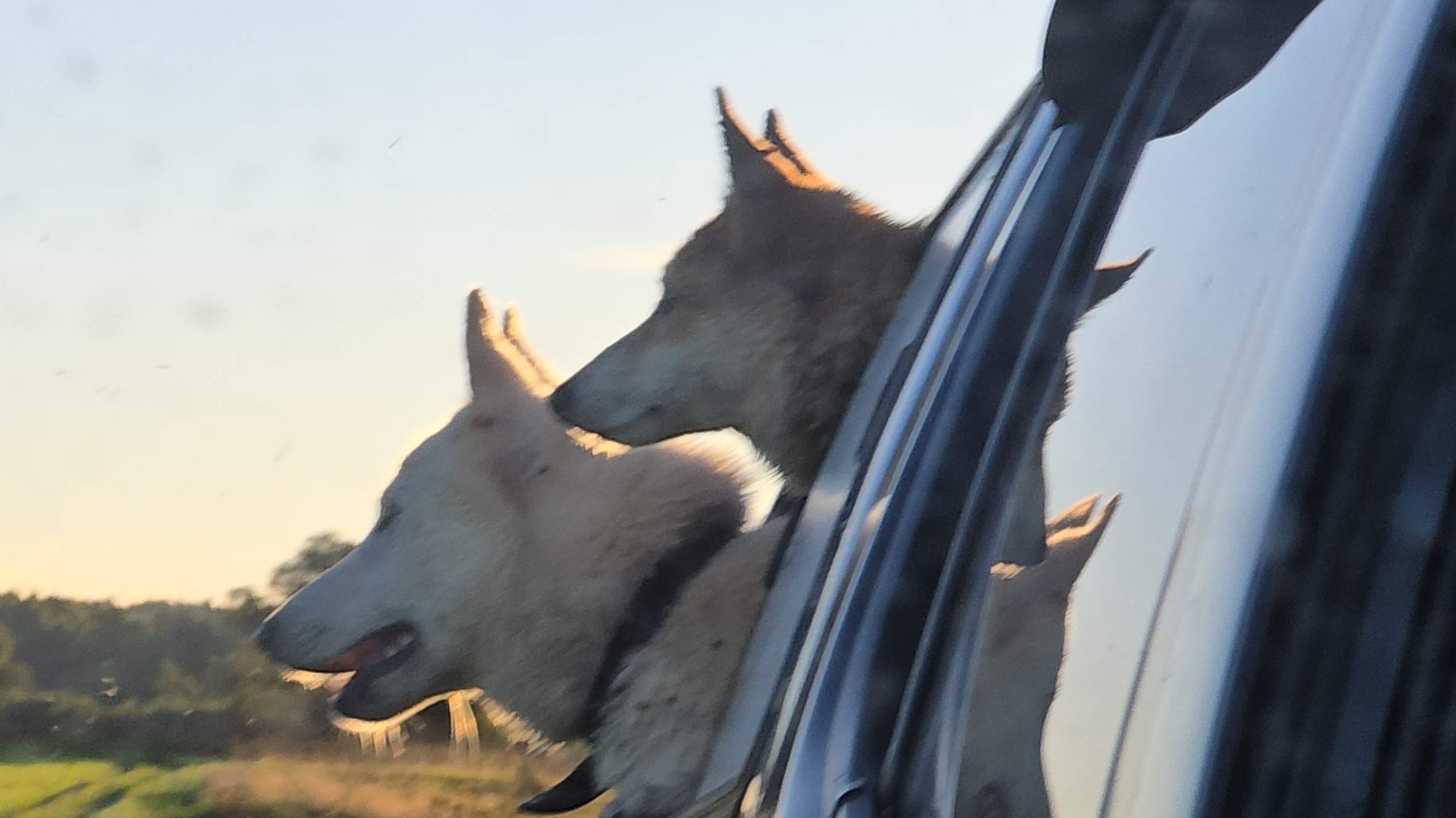 С лайками на реке