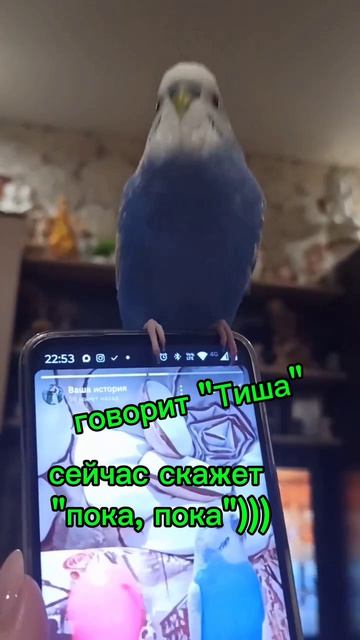 Говорит 