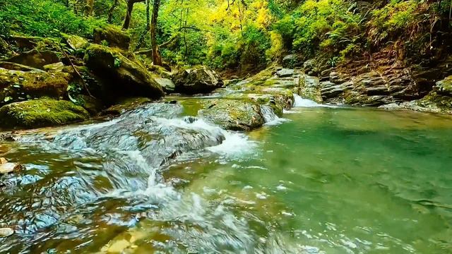 🐦🌲 Пение Птиц + Шум Реки 2,5 часа | Глубокий Сон и Расслабление на Природе 💤