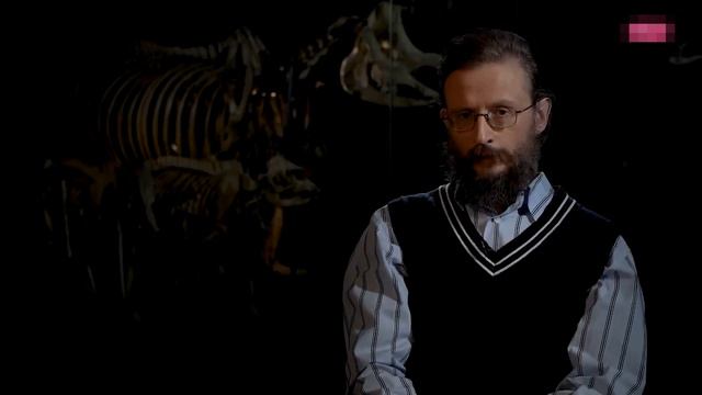Эволюция тела приматов. Как менялось строение организма предков