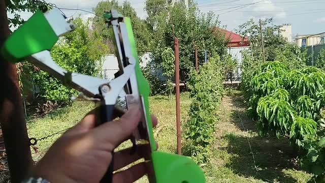 Сад и огород