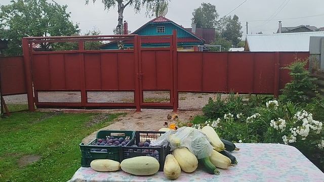 Всем хорошего настроения 👍