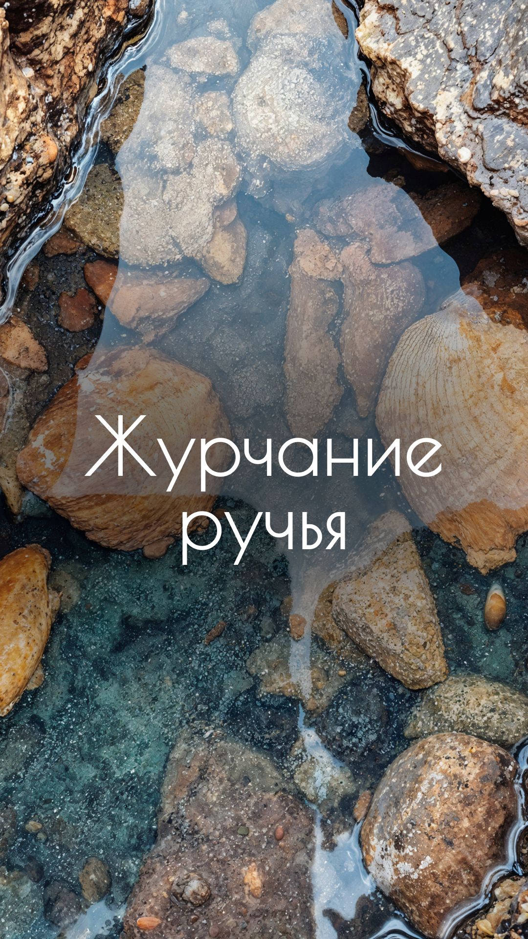 Звуки реки и ручья