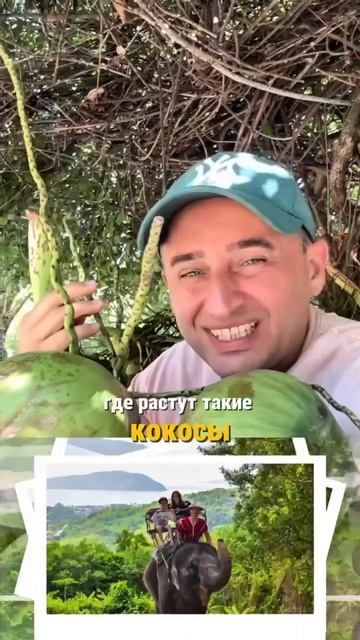 Выбираешь экскурсию на Пхукете? 🌊  Пиши «ПРАЙС», вышлем целый список возможных программ.