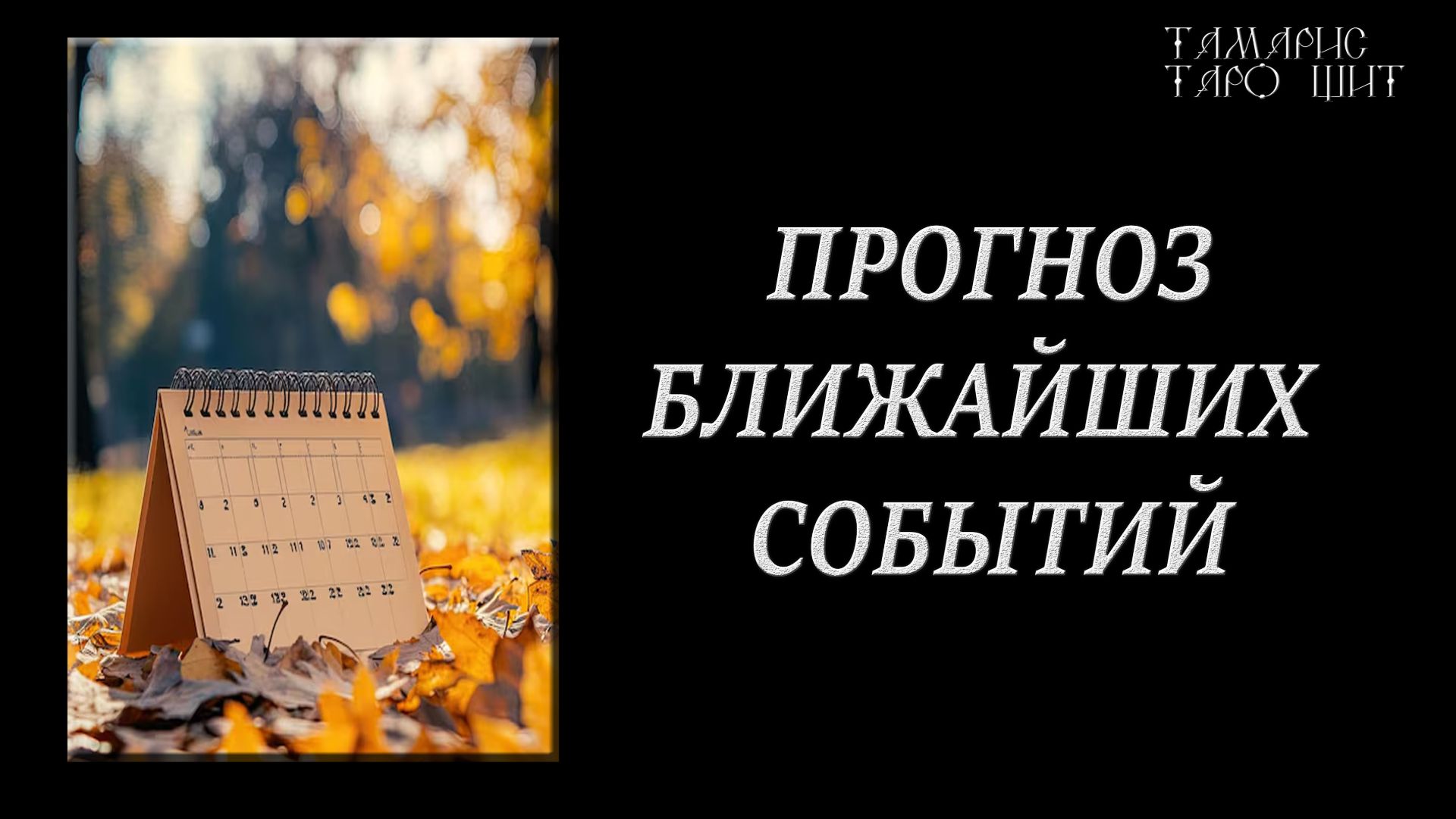 Прогноз ближайших событий 🔥 🔮 🔥 #гадания#расклад#таро#tamaris777t#психология
