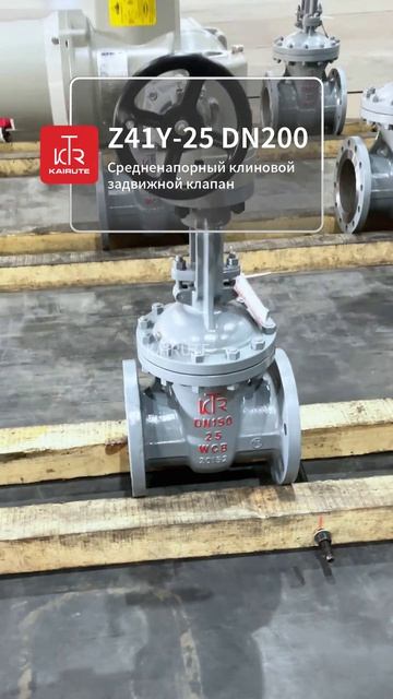 KAIRUTE DN200 Клиновая задвижка для трубопроводов
#арматура #KAIRUTE