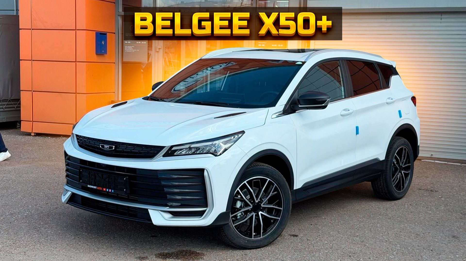 Как горячие пирожки BELGEE X50+