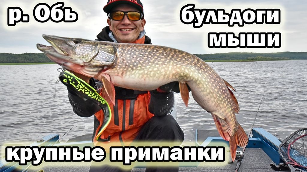 Быстрый старт рыбалки на Оби