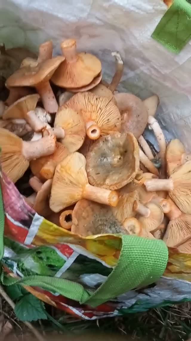 ВСЕ ВИДЕО