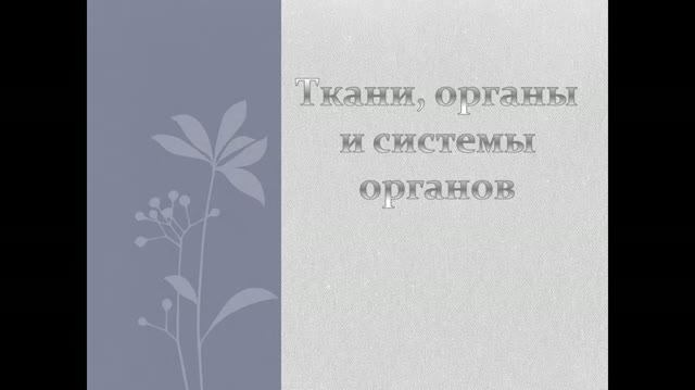 8 кл. Ткани, органы и системы органов животного
