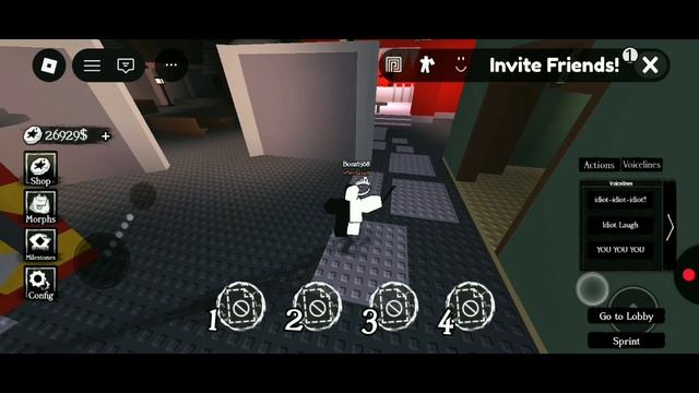 NOLI CHASE THEME