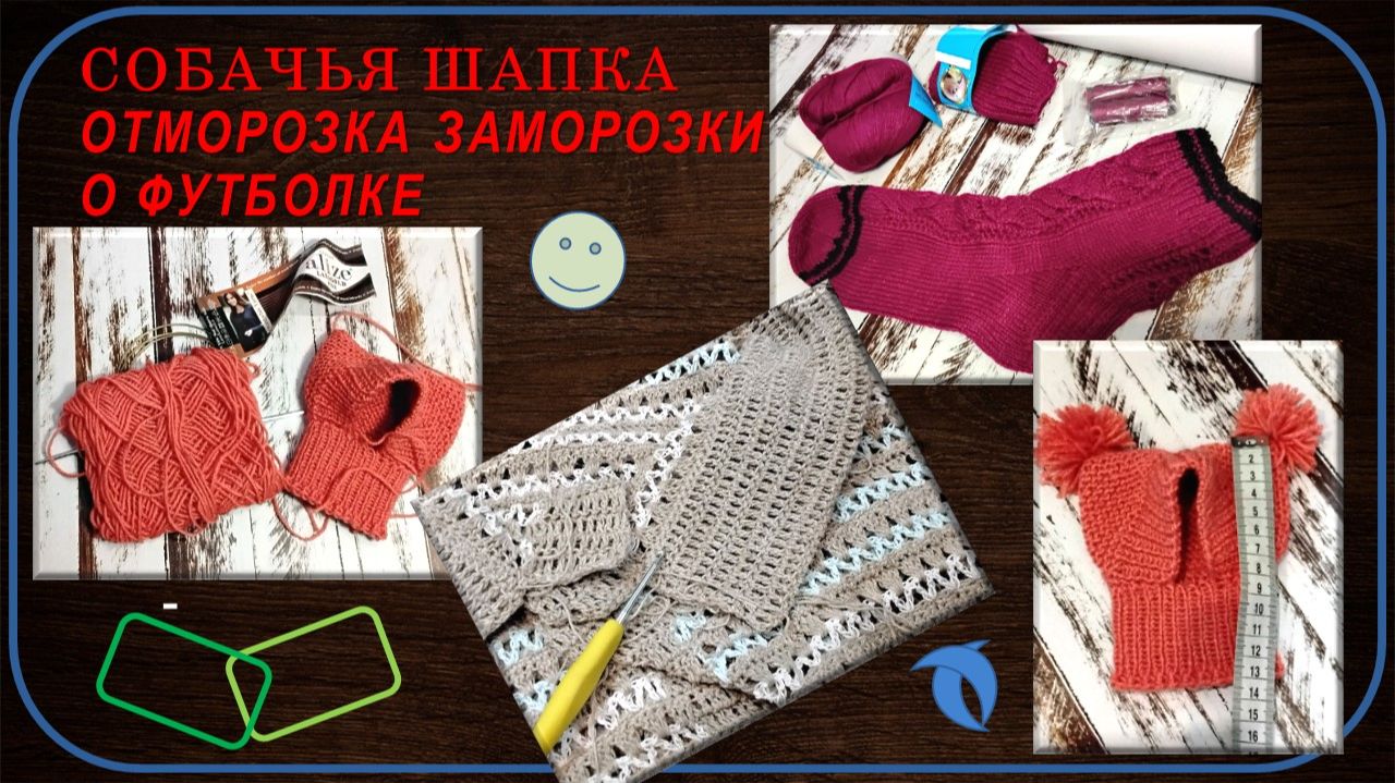 СОБАЧЬИ ШАПКИ 🐶 // ФУТБОЛКА-ПОЛО 🎉 // ОТМОРОЗКА ПРОЦЕССА - НОСКИ 🦔  06.09.26