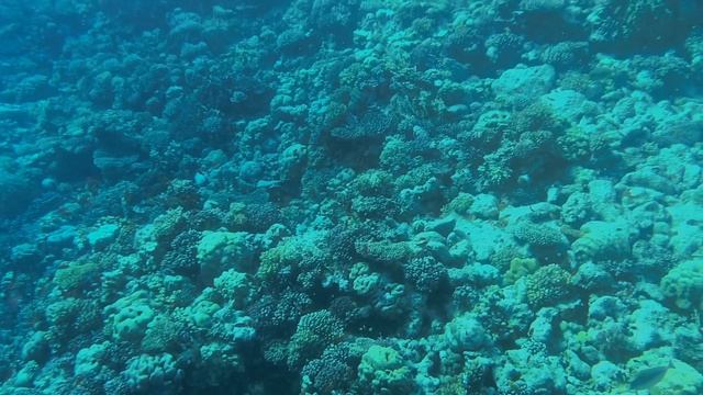 2026-09-06_1788707351161