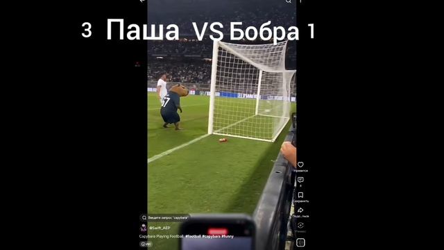Паша Vs Бобра