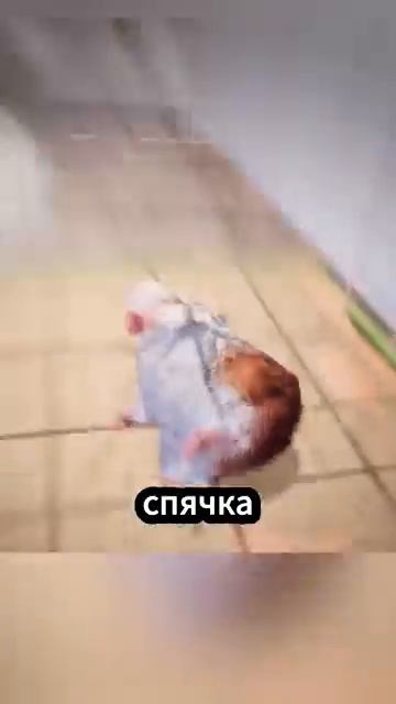 Почему твой хомяк может быть жив 🐹