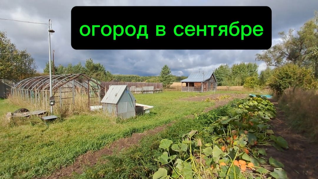Иное