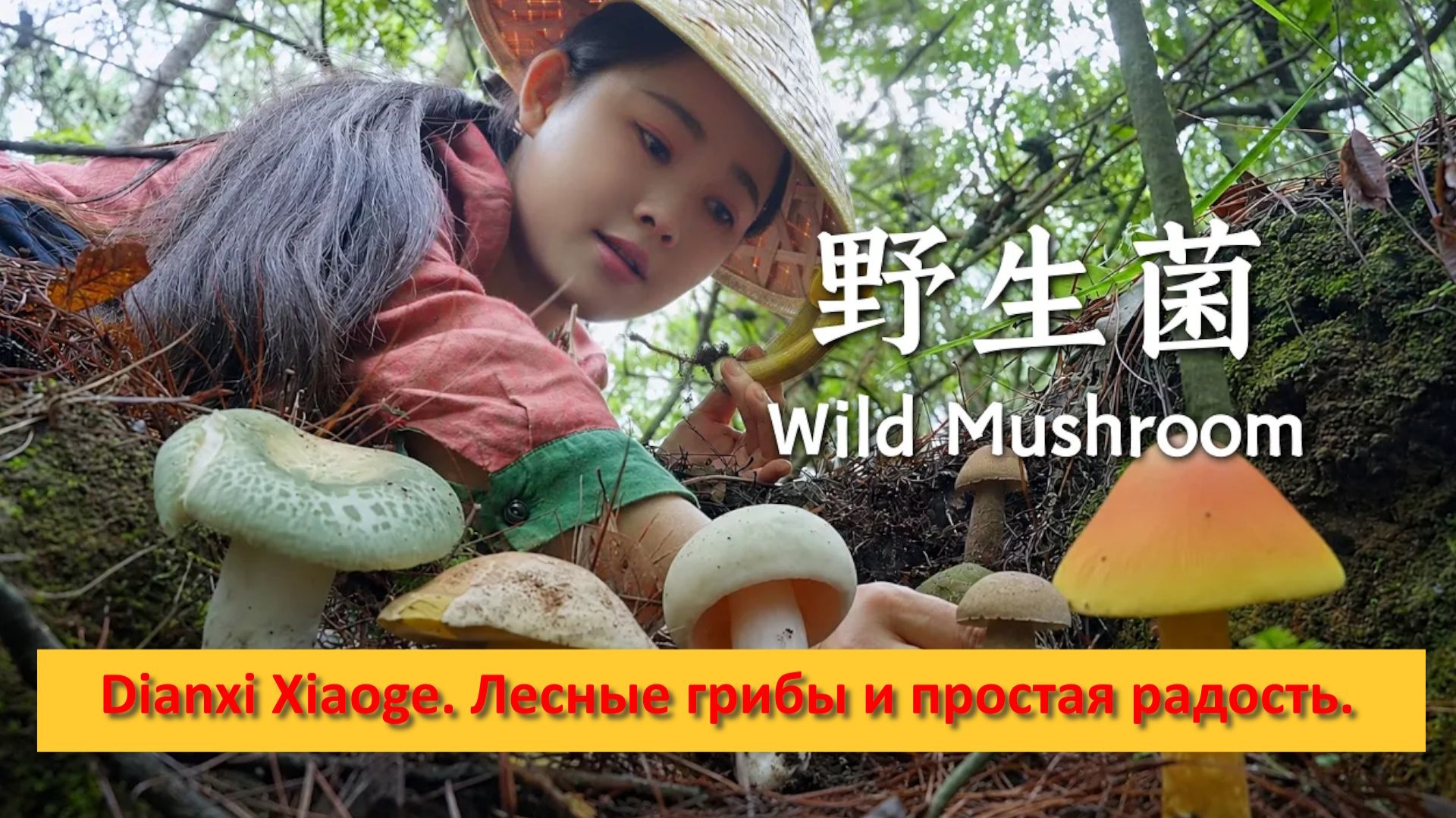Dianxi Xiaoge. Китай. Лесные грибы и простая радость.