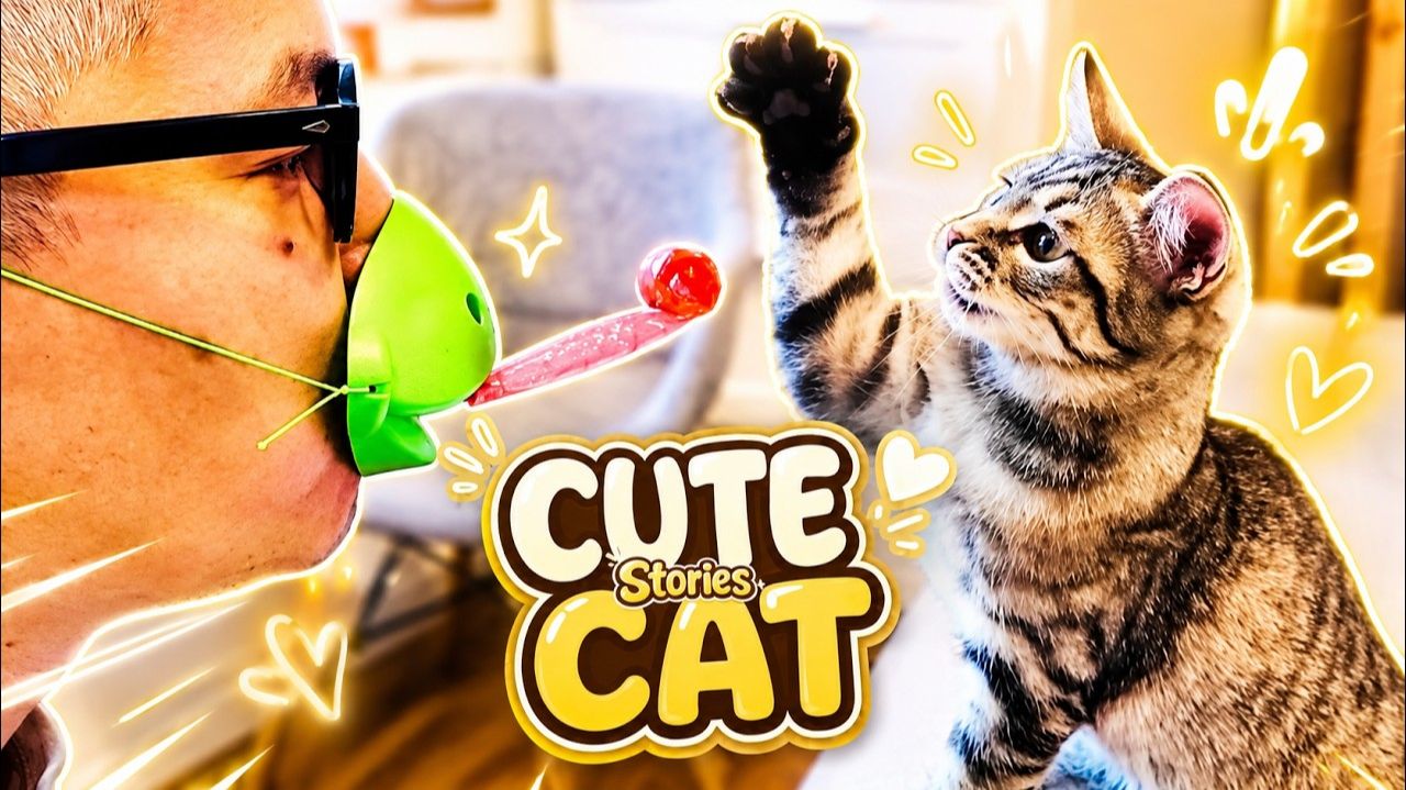 Приключения МИЛЫХ КОШЕК 🐾😺 🐈 Милые игры с папой Весело играйте с НАСТОЯЩИМИ котятами # САМАЯ ЛУ