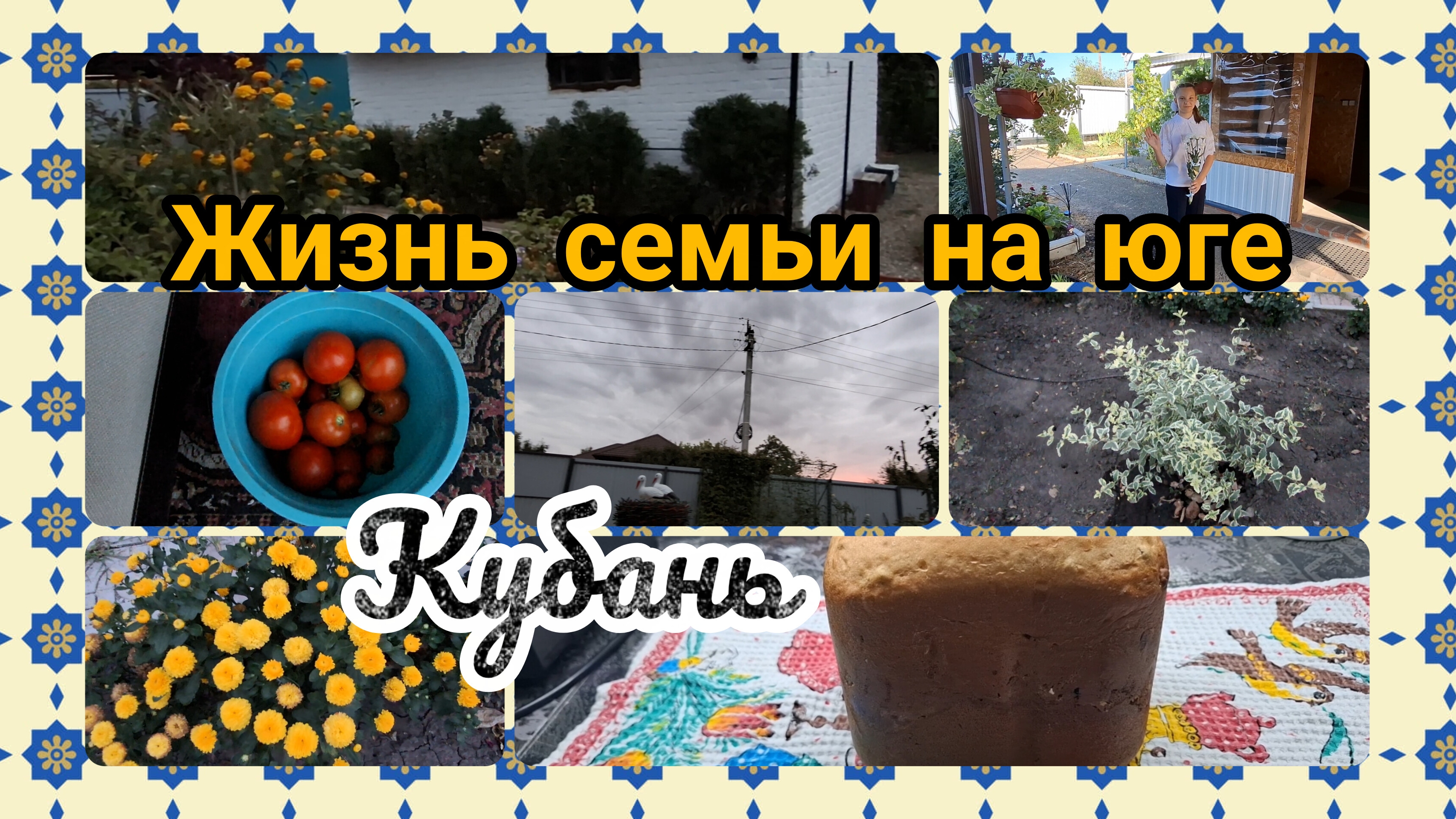 06-09-2026/ Живём и работаем на Кубани/ Жизнь семьи на юге после переезда/ Сдобный хлеб/