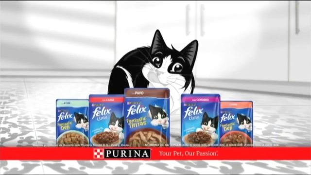 Purina - Felix - Your Pet, Our Fashion