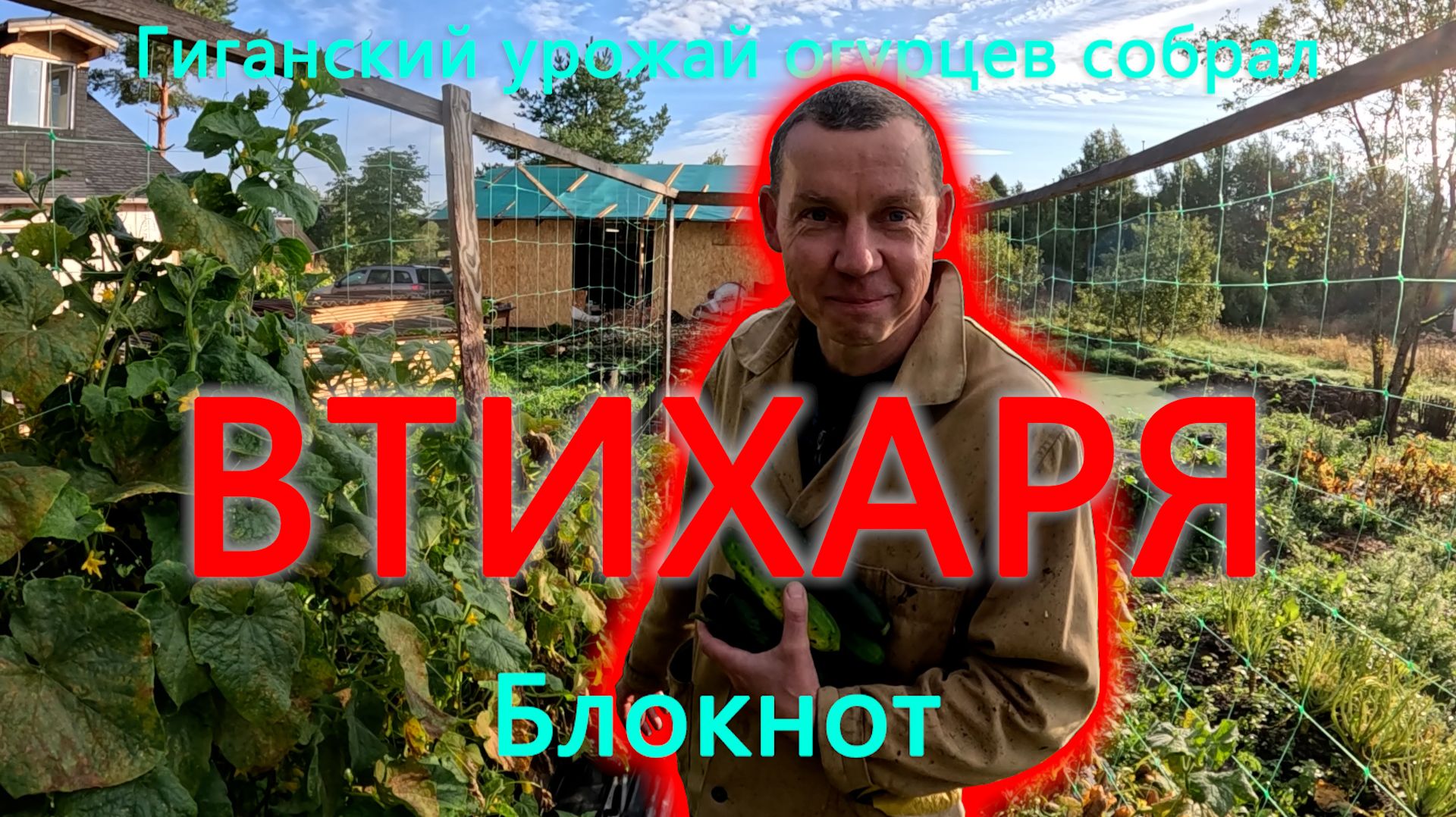 Деревенский Блокнот втихаря заплатил сладкую цену, за гигантский урожай огурцов на нашем огороде.