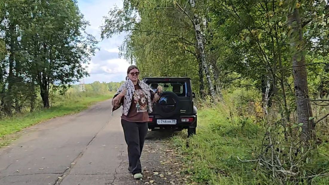 Уютный чердачок, встреча на дороге и сверкающий лес