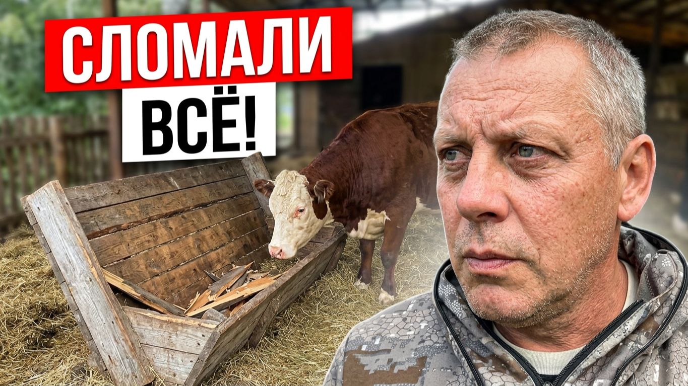 ВСЕ ПРО КОЗ И БАРАНОВ