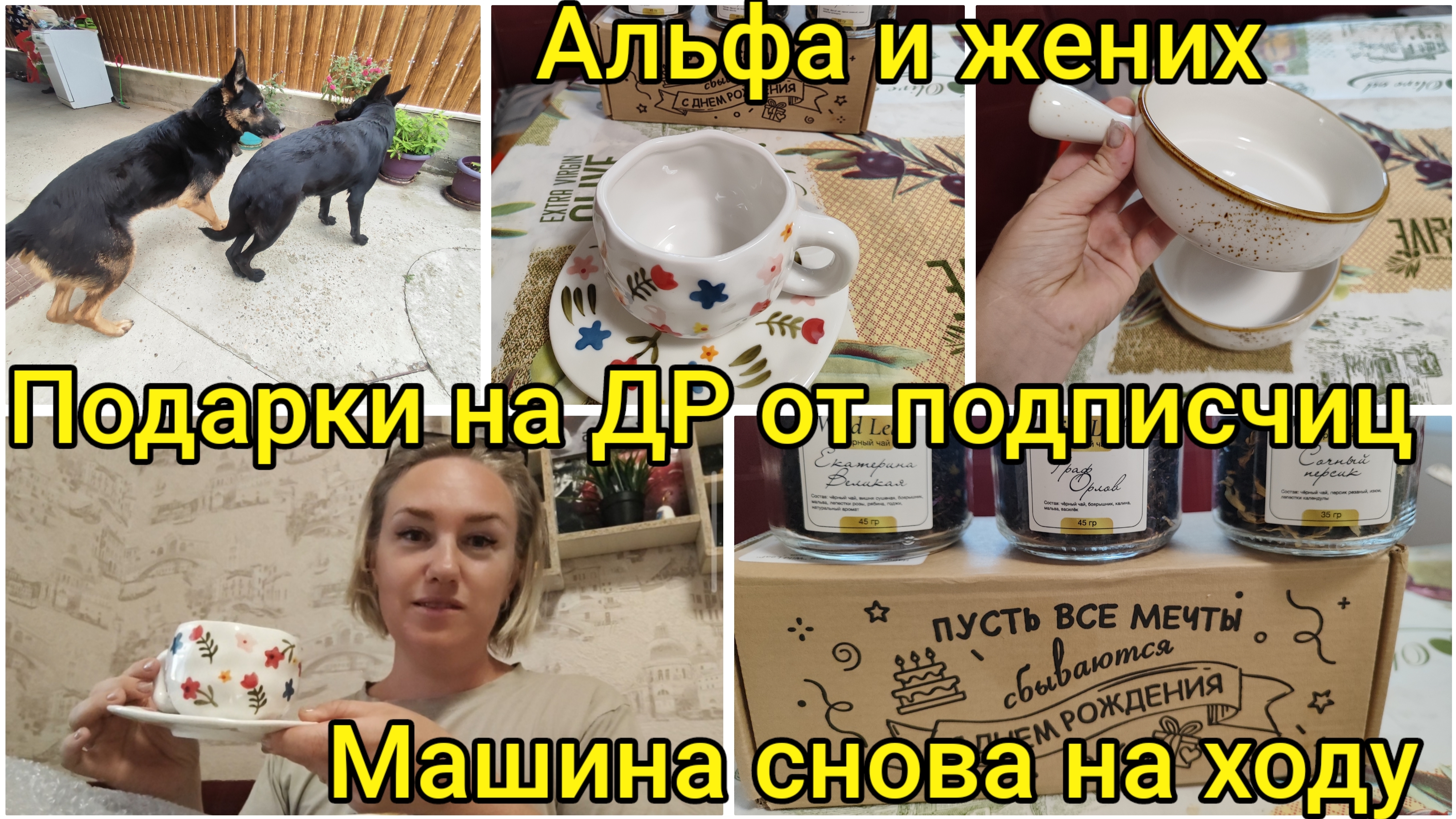 Наша жизнь на Кубани🌻 Машина снова на ходу 🚗 Встреча с женихом у Альфы🐕Подарки на ДР🎁