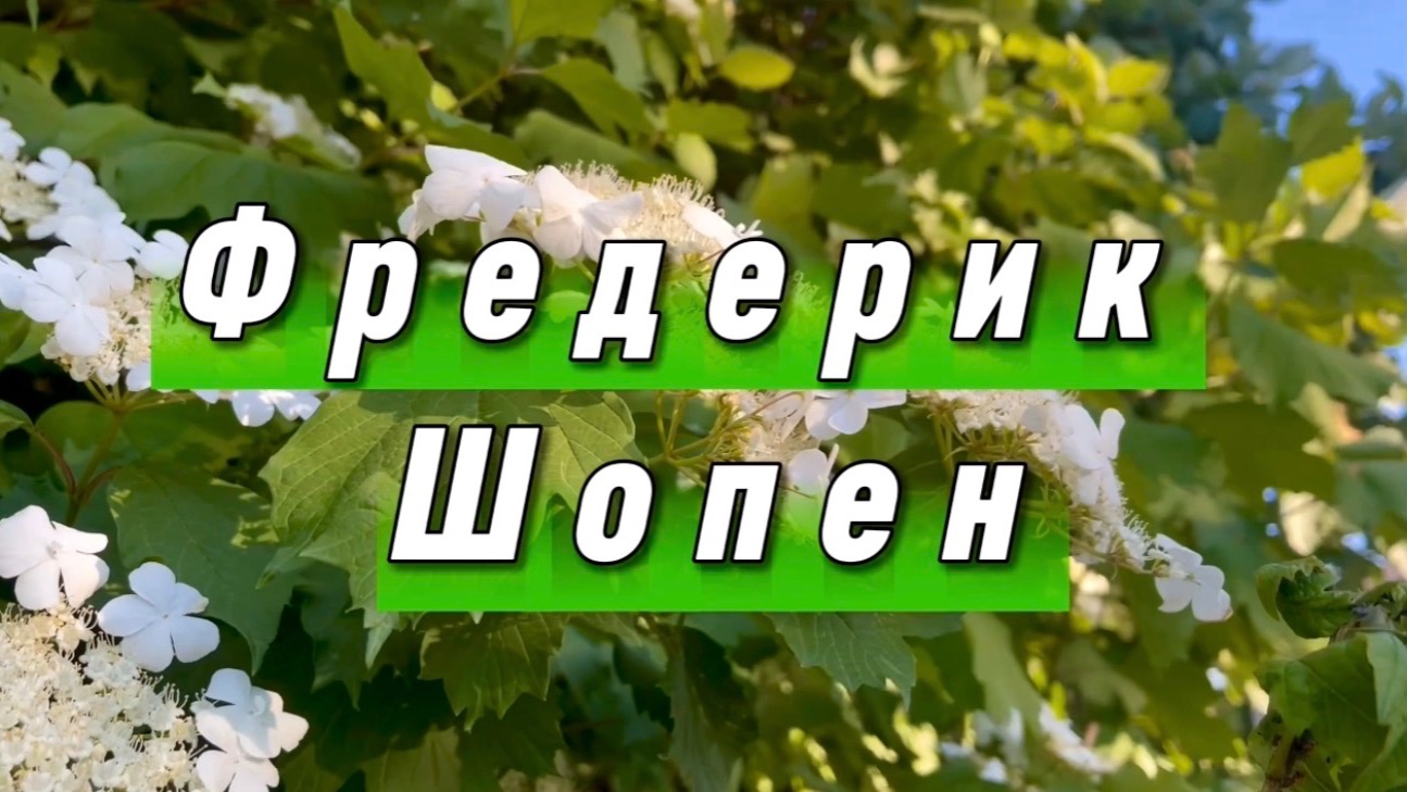Фредерик Шопен, вальс, классическая музыка