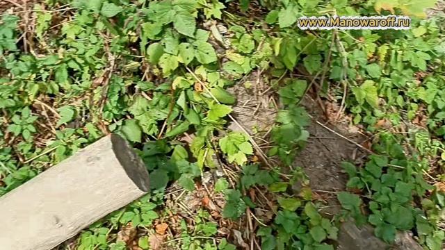 Присматриваю место для рыбалки - Пахра в Подольске