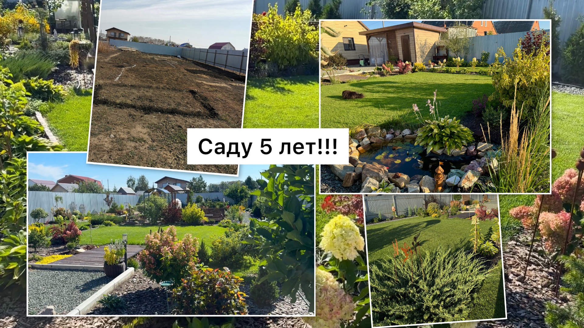 Сад с нуля, спустя 5 лет! Первый юбилей 🥳