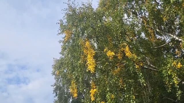 ЗОЛОТАЯ ПОРА🍁🍁🍁