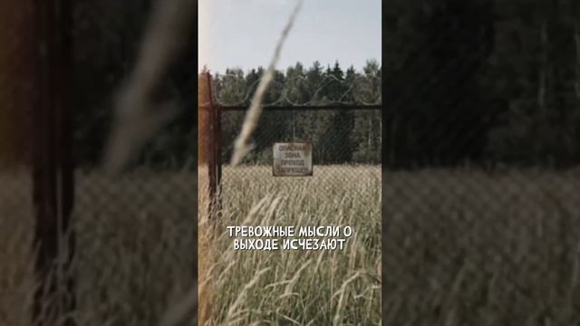 СБОРНИК СЕРИЙ 3 КОНТУР