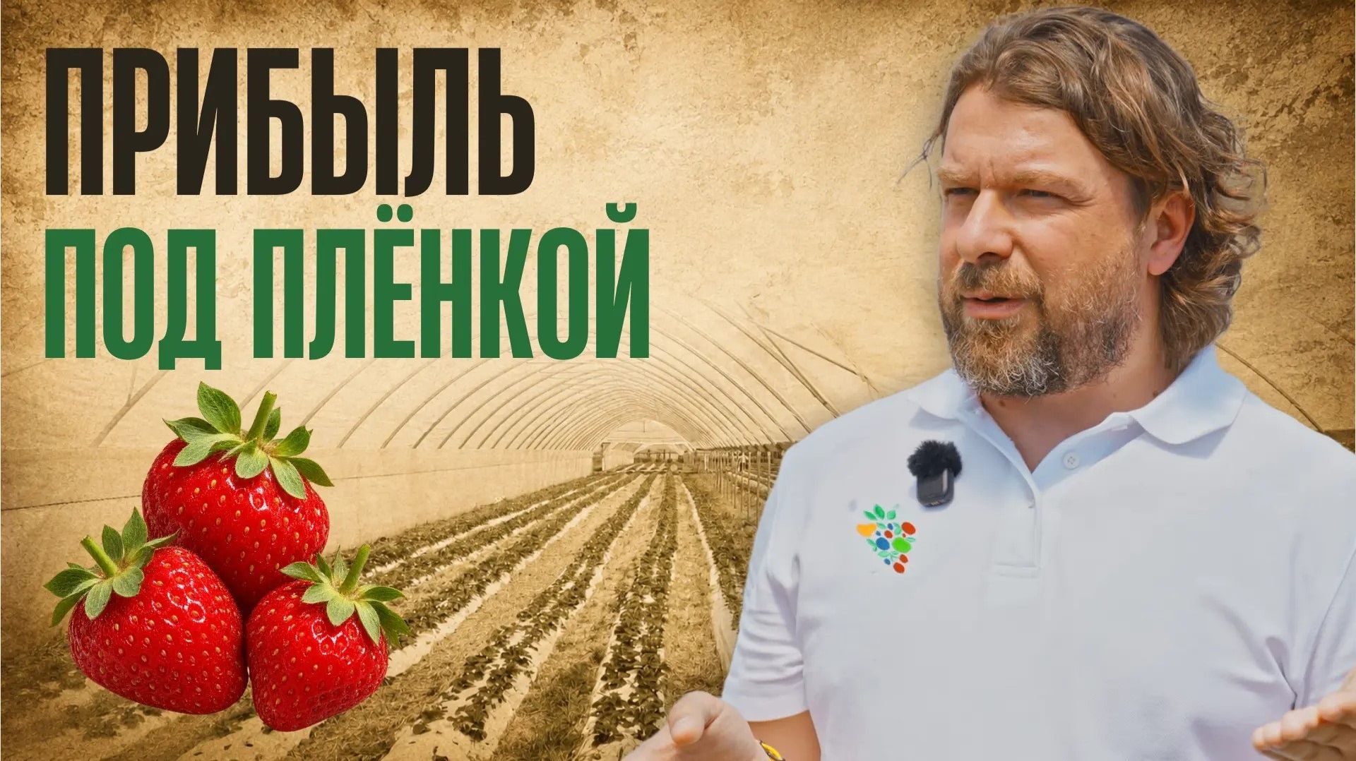 Клубника в туннелях: новые возможности для фермеров