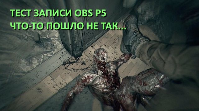 Тестовые заливы