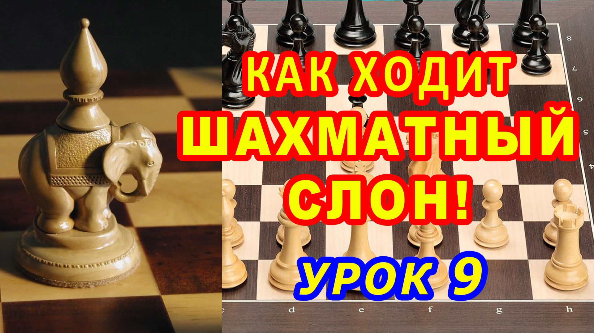 Урок 9: Как ходит ШАХМАТНЫЙ СЛОН, какие диагонали он выбирает на ШАХМАТНОЙ ДОСКЕ