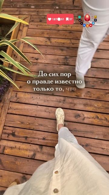 Добрые шутки