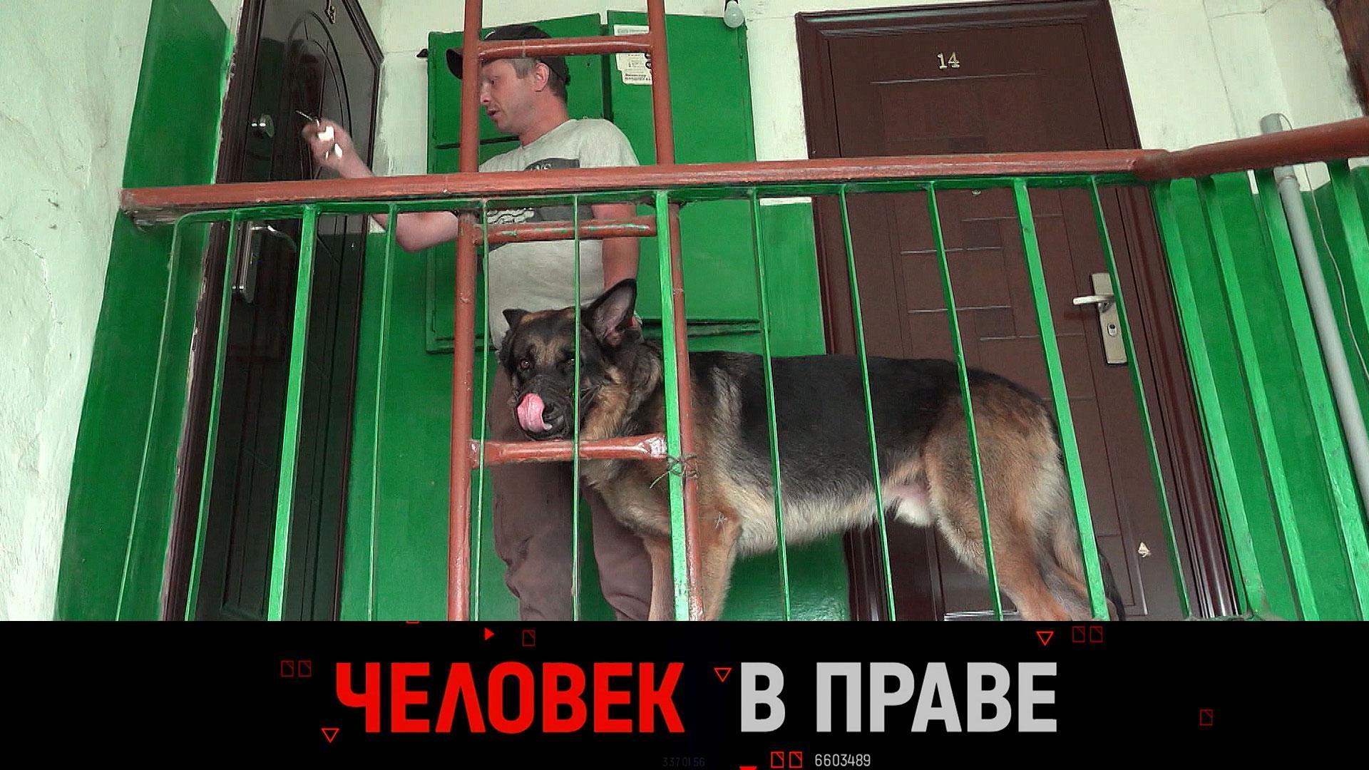 Есть Ли Путаны В Есть Ли Путаны В